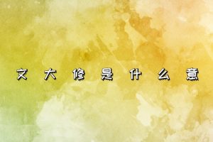 论文大修是什么意思
