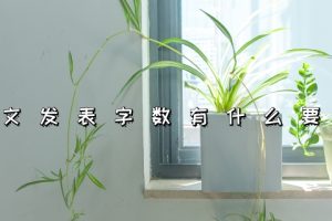 论文发表字数有什么要求