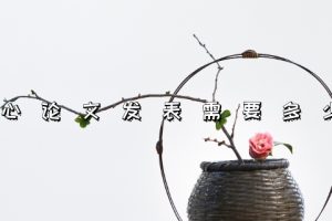 核心论文发表需要多少钱