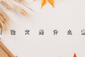 EI论文是什么意思