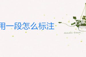 论文引用一段怎么标注