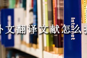 外文翻译文献怎么找