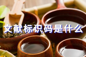 文献标识码是什么