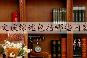 文献综述包括哪些内容