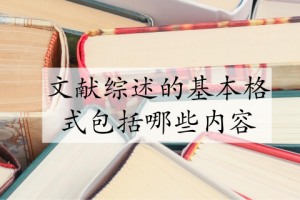 文献综述的基本格式包括哪些内容