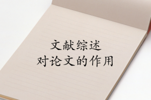 文献综述对论文的作用