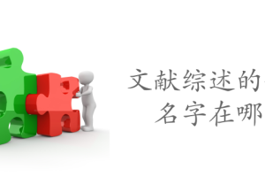 文献综述的作者名字在哪写