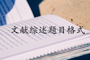 文献综述题目格式