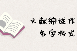 文献综述作者名字格式