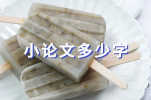 小论文多少字