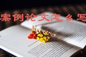 案例论文怎么写