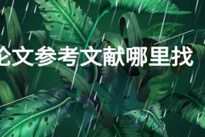 论文参考文献哪里找
