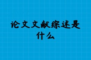 论文文献综述是什么