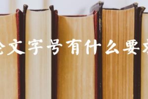 论文字号有什么要求