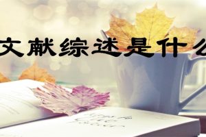 文献综述是什么