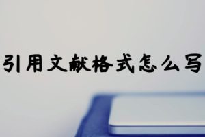 引用文献格式怎么写