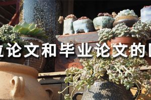 学位论文和毕业论文的区别