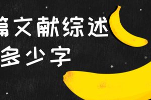 一篇文献综述多少字