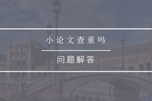 小论文查重吗
