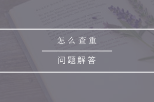 怎么查重